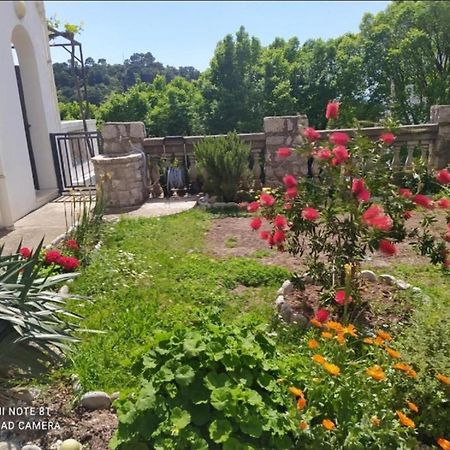Apartmani Jovanovic Petrovac Εξωτερικό φωτογραφία