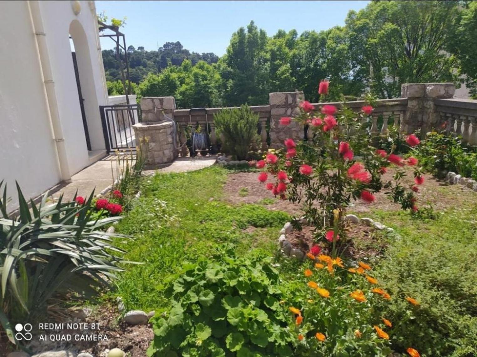 Apartmani Jovanovic Petrovac Εξωτερικό φωτογραφία