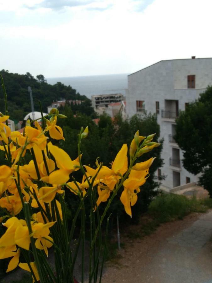 Apartmani Jovanovic Petrovac Εξωτερικό φωτογραφία